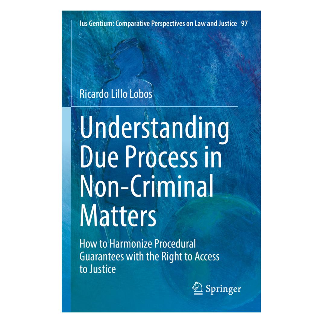 Springer Understanding Due Process in Non-Criminal Matters (Englisch, Softcover, Ricardo Lillo Lobos) (56957480)