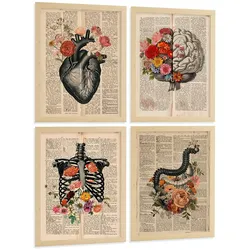 POSTER Set aus 4 Anatomie Drucke und Wandbilder mit Herz Gehirn Skelett und Darm Antiker Hintergrund Wanddekoration Größe Leichter Holzrahmen A4