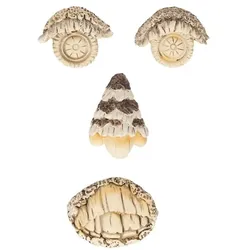 Relaxdays Baumgesicht 4-teilig Anthrazit,Beige,Hellbraun