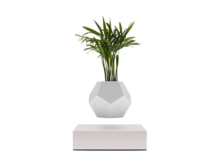 Schwebendes Design Objekt „LYFE Planter“ Nussbaum Weiss FLYTE