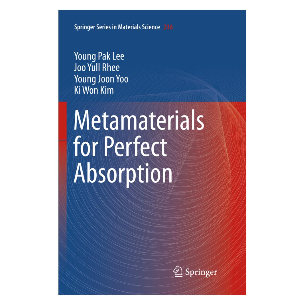 Springer Metamaterials for Perfect Absorption (Englisch, Softcover, Joo Yull Rhee, Ki Won Kim, Young Joon Yoo, Young Pak Lee) (56007240)