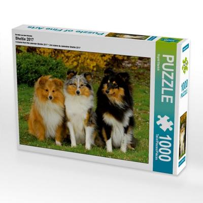 CALVENDO Puzzle Ein Motiv aus dem Kalender Sheltie 2017 | 1000 Teile Lege-Größe 64x48cm Foto-Puzzle für glückliche Stunden