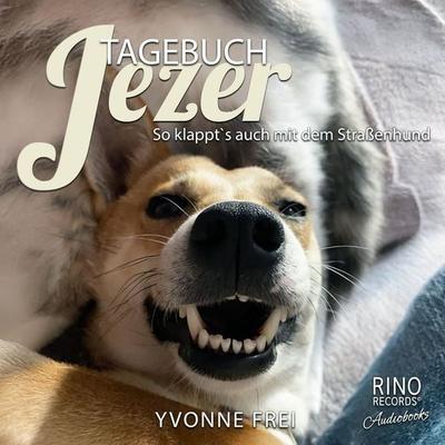 Tagebuch Jezer - Yvonne Frei, Audio, 4069829330961