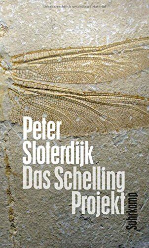 Peter Sloterdijk - Das Schelling-Projekt: Bericht - Preis vom 09.10.2026 07:28:09 h