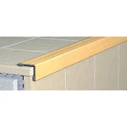 Treppenkante Treppenprofil Havos champagne, Aluminium Eloxiert, Länge 270 cm, Kantenhöhe 9 mm, ALESHCH9270