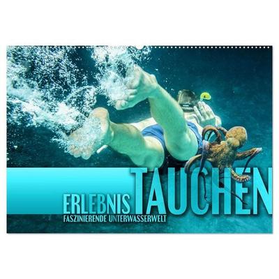 Erlebnis Tauchen - faszinierende Unterwasserwelt (Wandkalender 2026 DIN A2 quer), CALVENDO Monatskalender