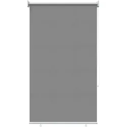 vidaXL Außen-Rollos mit UV-Schutz Hellgrau 100 x 230 cm (B x H)