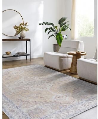 Livabliss x Becki Owens Amelie Traditional Area Rug