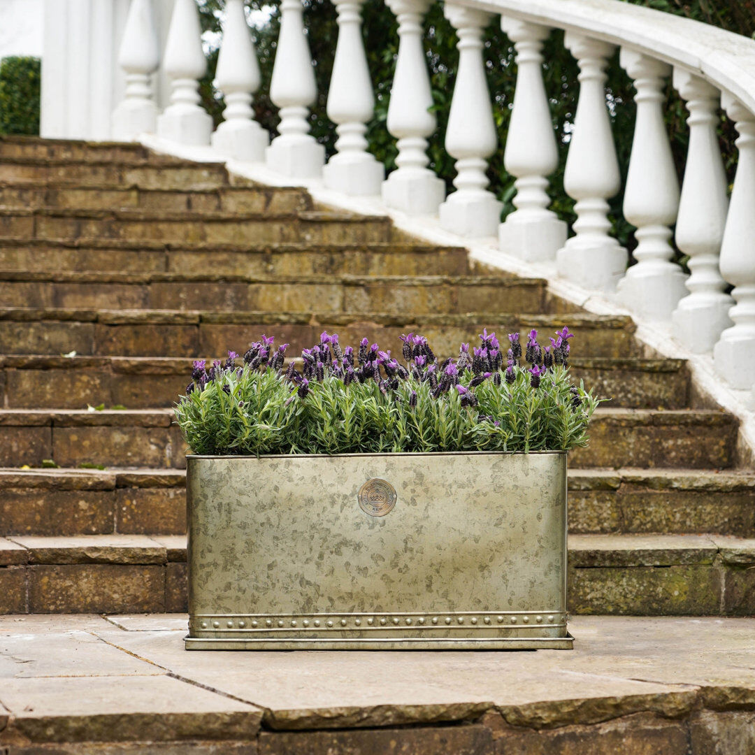 Ivyline Kew Regency Outdoor Planter Aged Brass 30 cm H x 62 cm W x 34 cm D
