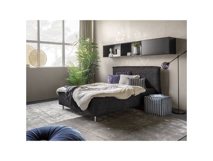 Polsterbett Homely 200 x 200cm Microfaser Alana Grau Buche