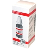 DHU-Arzneimittel GmbH & Co. KG POLLENS D 12 Globuli 10 g 07459173
