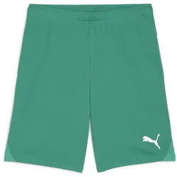 PUMA teamGOAL Shorts Herren 05 - sport green/puma white XL
