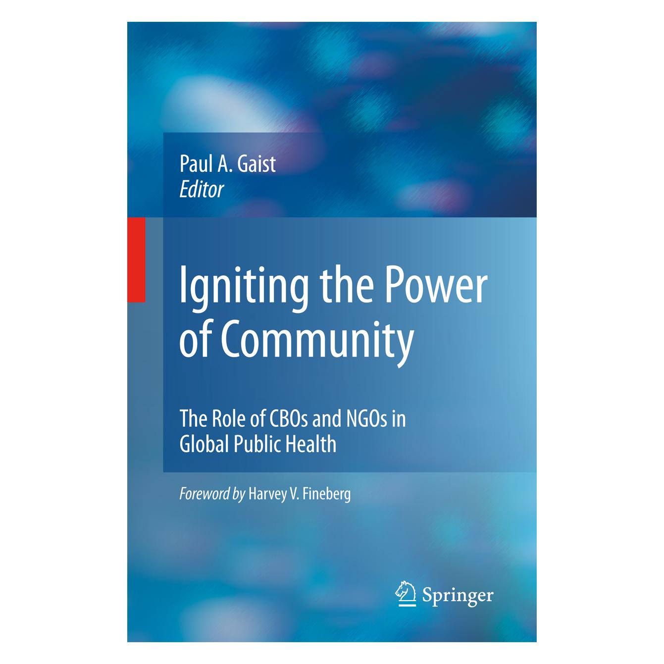 Springer Igniting the Power of Community (Englisch, Hardcover, Paul A. Gaist) (9780387981567)