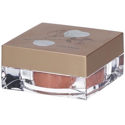 i.am.klean Loose Mineral Blush Pretty Peach 2 1 St Make up