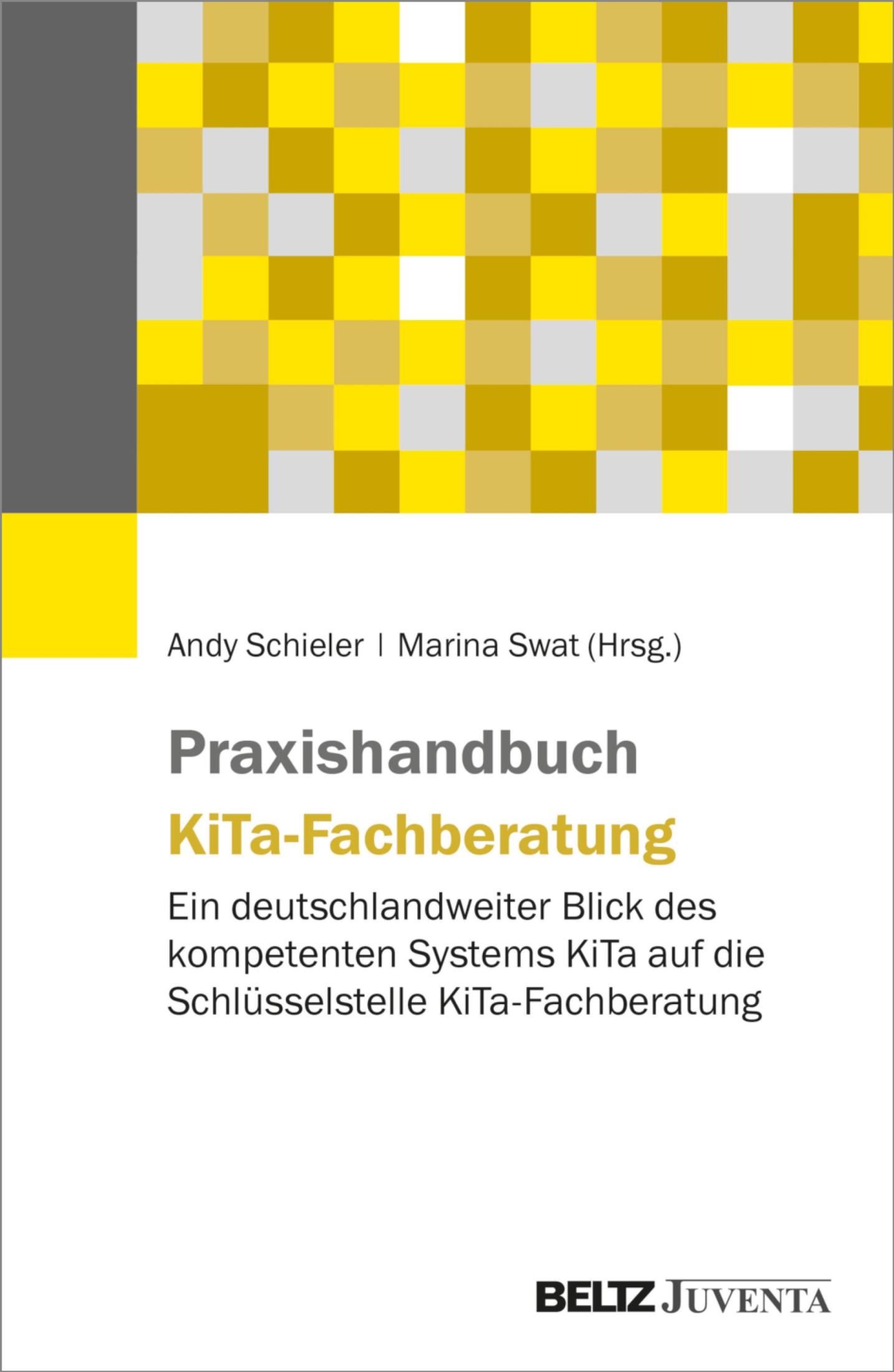 beltz verlag Praxishandbuch KiTa-Fachberatung