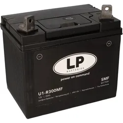 Batterie 12V 24Ah für Rasenmäher Rasentraktor LB U1-R300MF