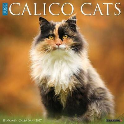 Calico Cats 2027 12 X 12 Wall Calendar