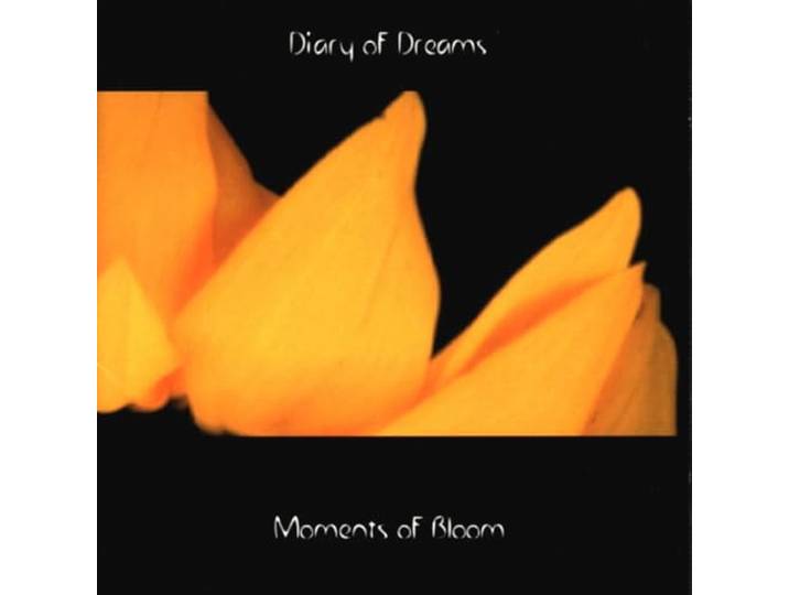 Moments Of Bloom