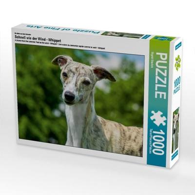 CALVENDO Puzzle Ein Motiv aus dem Kalender Schnell wie der Wind - Whippet | 1000 Teile Lege-Größe 64x48cm Foto-Puzzle für glückliche Stunden
