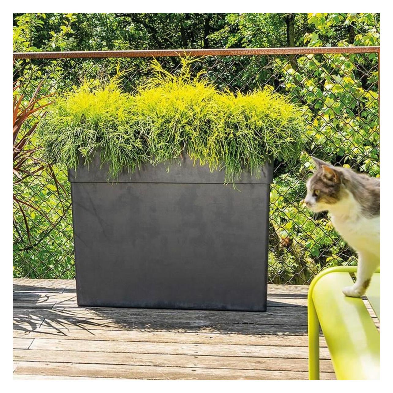 Deroma Blumentopf (29.50 x 65 x 78 cm) (40047356)