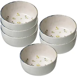 MÜSLISCHALEN Viola bunt ø 14,5 cm 6er Set