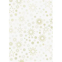 Baier & Schneider, Bastelpapier, Transparent-Papier (115 g/m2, 10x)