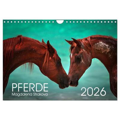 Pferde - Magdalena Strakova (Wandkalender 2026 DIN A4 quer), CALVENDO Monatskalender