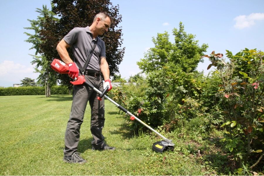 Valex DECESPUGLIATORE EL DE2700 CON VISIERA PROTETTIVA