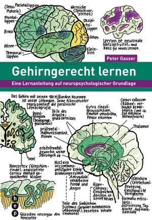 Peter Gasser - Gehirngerecht lernen - Preis vom 16.10.2026 11:41:07 h