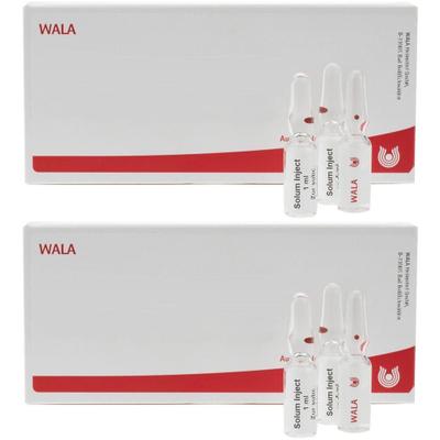 Mesenchym/Calcium carbonicum comp.Ampullen 2x 2x5x10 ml Ampullen
