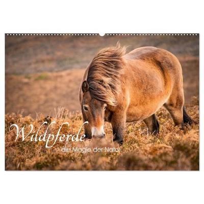 Wildperde - die Magie der Natur (Wandkalender 2027 DIN A2 quer), CALVENDO Monatskalender