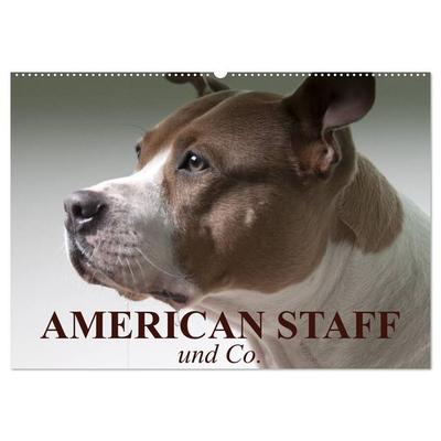 American Staff und Co. (Wandkalender 2027 DIN A2 quer), CALVENDO Monatskalender