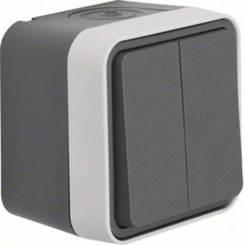 Berker Serientaster Aufputz W.1 Grau, Lichtgrau 50753515 1St.