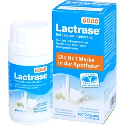 Lactrase 6000 Fcc Tbl. Klickspender-Nachfüllpack 480 ST