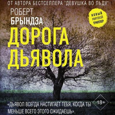 Doroga dyavola - Robert Bryndza, Audio, 9785171765286