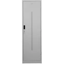 PROREGAL Sattelschrank Degu | Zylinderschloss | HxBxT 195x60x60 cm | Hakenset | Grau