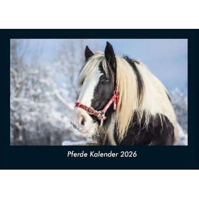 Pferde Kalender 2026 Fotokalender DIN A4