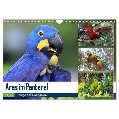 Aras im Pantanal (Wandkalender 2027 DIN A4 quer), CALVENDO Monatskalender