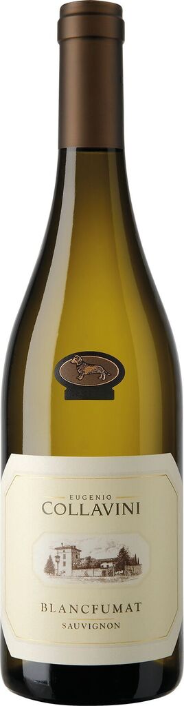 Sauvignon Blancfumat Collio DOC 2022 Collavini