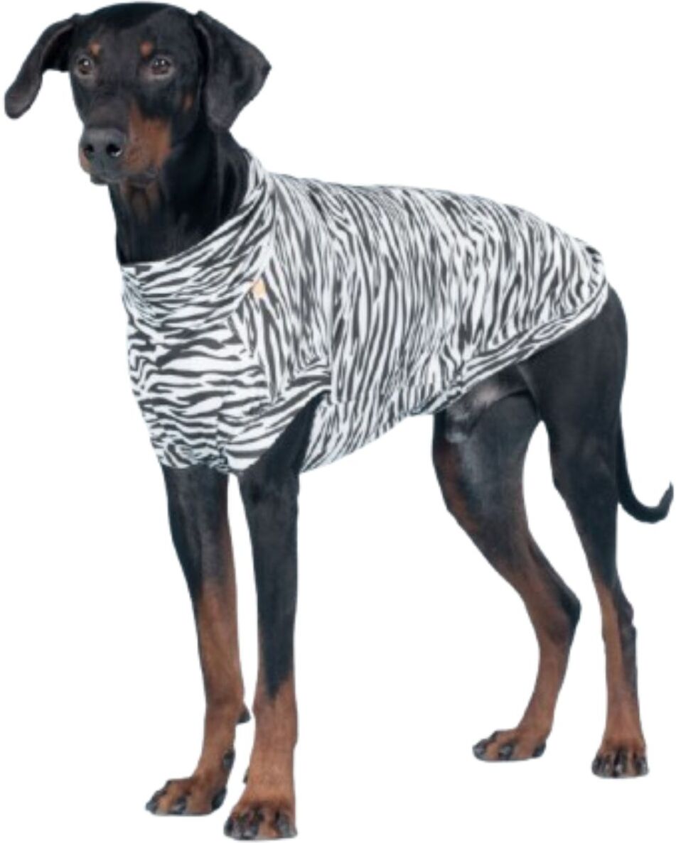 Paikka Maglia Protettiva per Cani Anti UV e Zanzare 25 cm