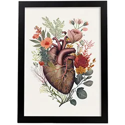 POSTER Anatomie Herz A3 Schwarzer Rahmen