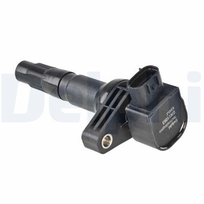 DELPHI Zündspule gn1106312b1 für BYD