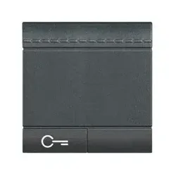 BTicino L4915M2FN LivingLight Symbolwippe 2M SCHLÜSSEL Anthrazit