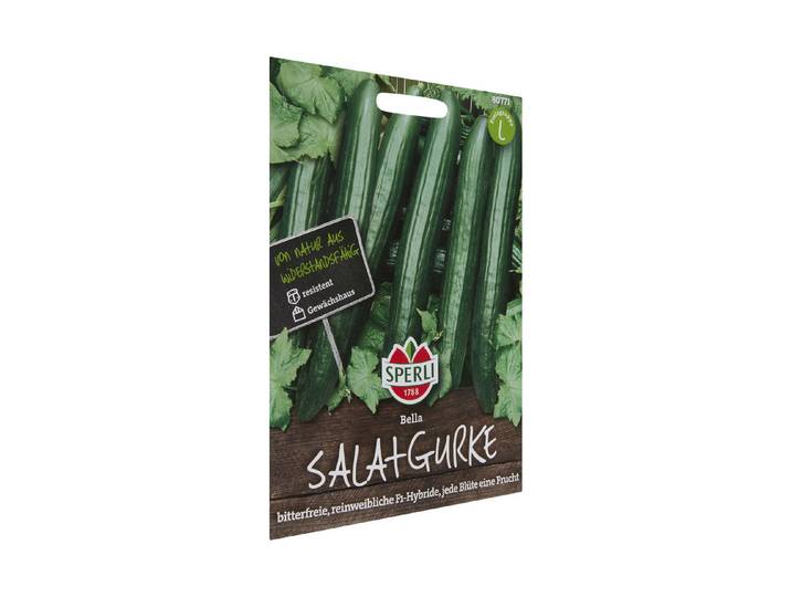 Sperli Salatgurke Bella