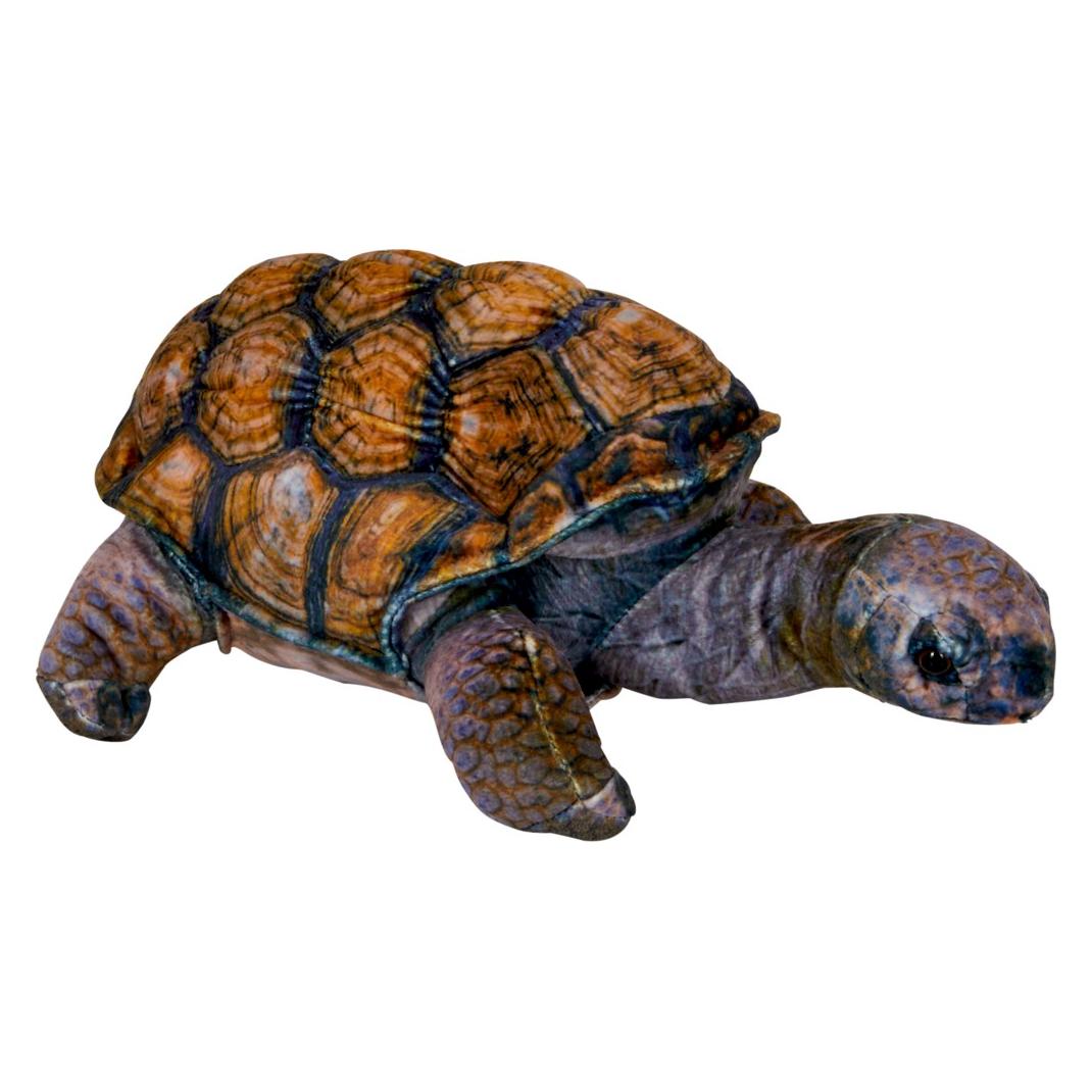 Die Spiegelburg Schildkrte (30 cm) (57247986)