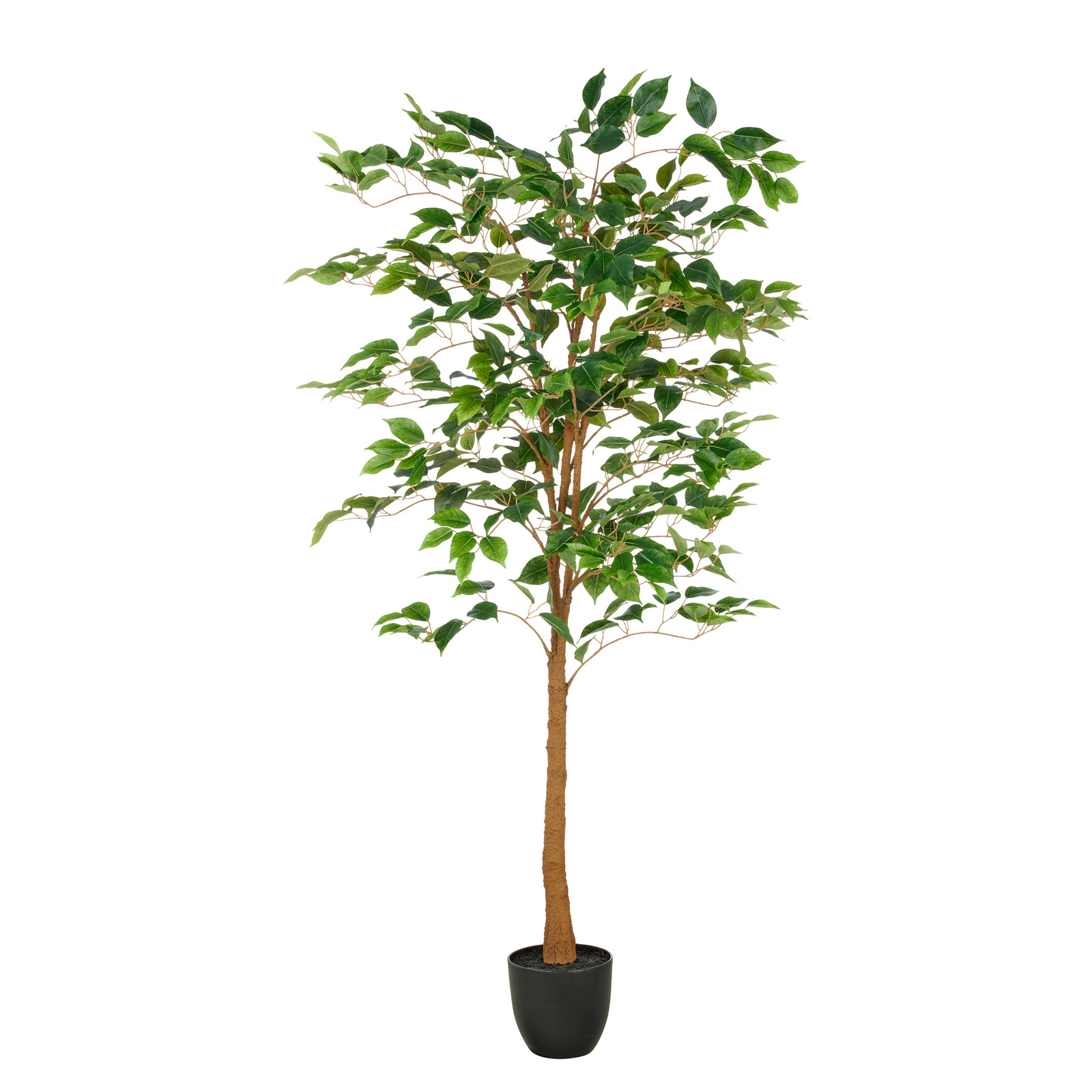 home24 Kunstplant Ficus Benjamina Groen, Hoogte: 150 cm