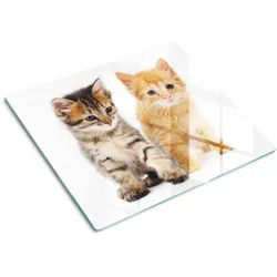GLASPLATTE 60x52 cm Katze Tier