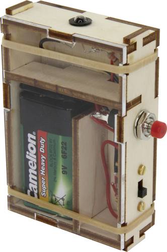 Sol Expert 36500 Taschenlampen Bausatz Ausführung (Bausatz/Baustein): Bausatz