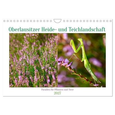 Oberlausitzer Heide- und Teichlandschaft (Wandkalender 2027 DIN A4 quer), CALVENDO Monatskalender
