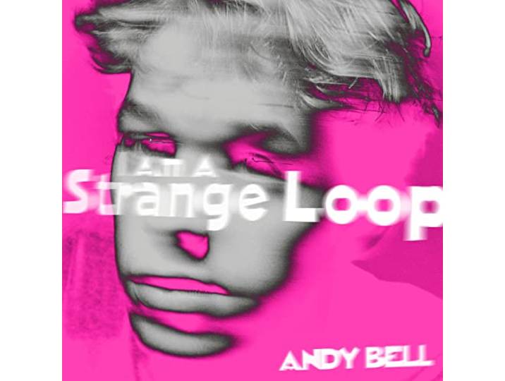 I am a Strange Loop